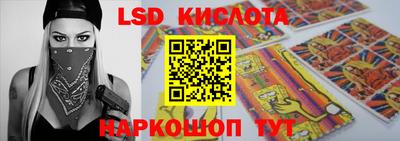 крисы Берёзовский