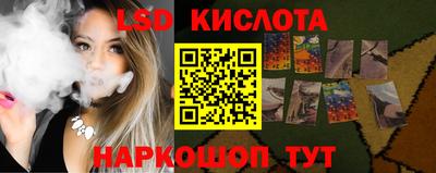крисы Берёзовский