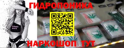 крисы Берёзовский